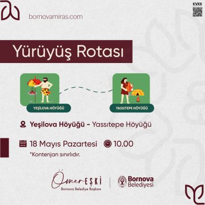 Seçenek numarası görseli 2